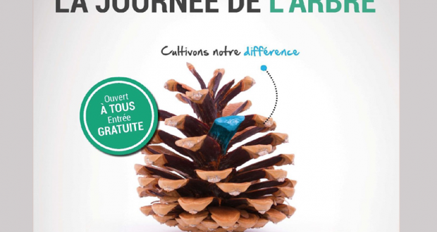 Distribution gratuites de 3000 arbres et arbustes