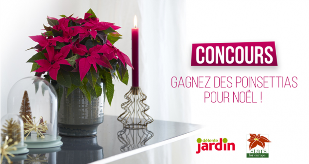 Gagnez des poinsettias pour Noel