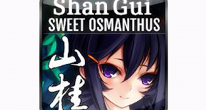 Shan Gui gratuit sur Android