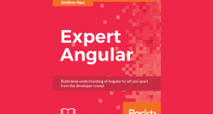 ePub gratuit Expert Angular