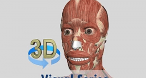 Application Visual Muscles 3D gratuite