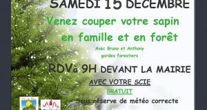 Sapin de Noël à couper gratuit