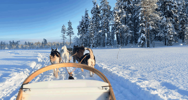Voyage de 8 jours pour 2 personnes en Laponie