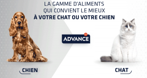 1000 Packs d’aliments pour chien ou chat Advance