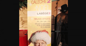 Balade en Calèche gratuite au Carrefour Labège