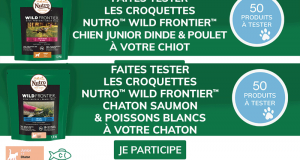 Croquettes Chaton ou Chiot Nutro Wild Frontier