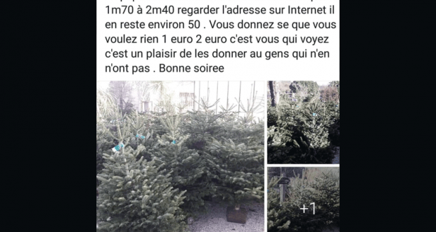 Sapin Nordmann gratuit - Terre d'avenir Fuveau