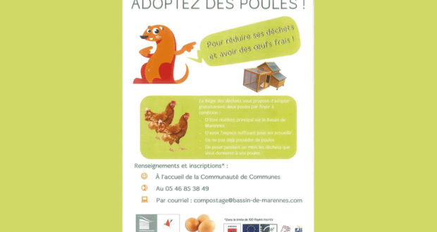 2 poules pondeuses gratuites pour réduire les déchets