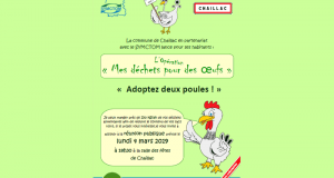 2 poules pondeuses gratuites pour réduire les déchêts - Chaillac