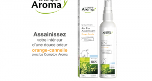 Spray ambiant Air Pur assainissant Orange-Cannelle Le Comptoir Aroma