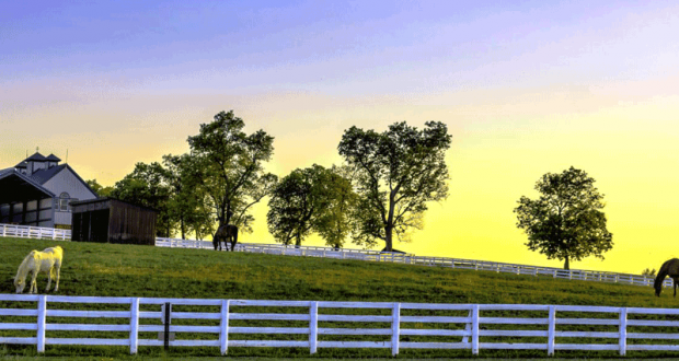 Voyage pour 2 personnes dans l'état du Kentucky aux États-Unis