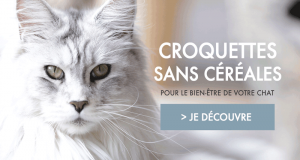 Échantillons gratuits de croquettes et pâtées sans céréales pour chat Ultra Premium Direct