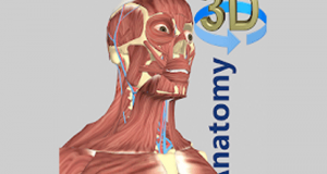 Application 3D Anatomy Gratuit