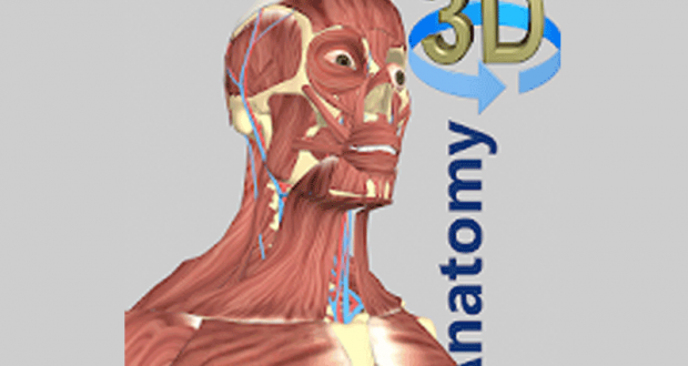 Application 3D Anatomy Gratuit