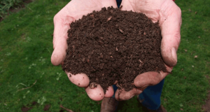 Distribution Gratuite de Compost - Grand Nancy