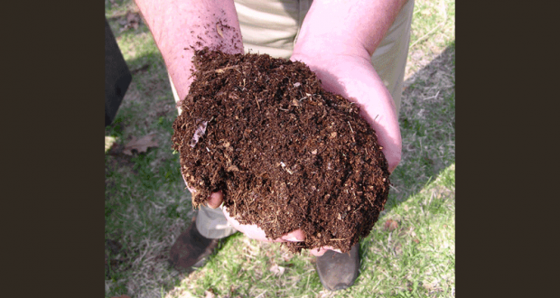 Distribution gratuite de compost - Colmar