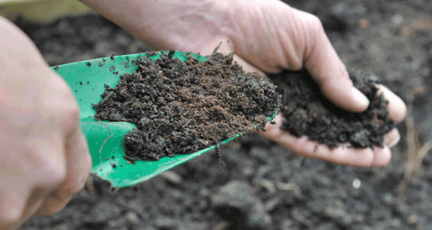 Distribution gratuite de compost - Suresnes