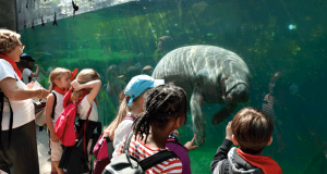 Entrée gratuite au Parc Zoologique de Paris