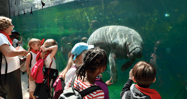 Entrée gratuite au Parc Zoologique de Paris