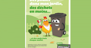 2 poules à réduction de déchets offertes