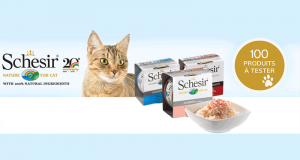 Boîtes Schesir humide pour chats