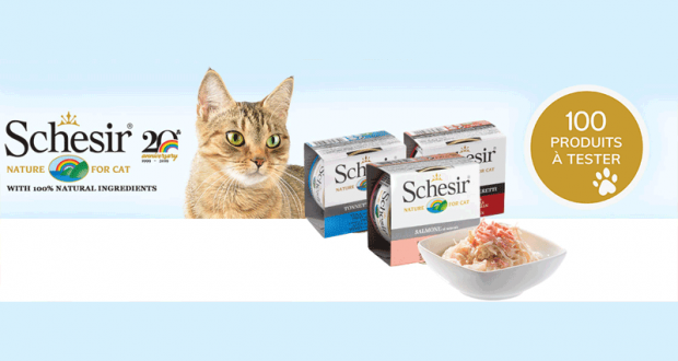 Boîtes Schesir humide pour chats