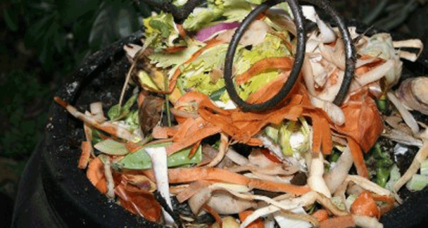 Distribution gratuite de compost - Pays de Saint Gilles Croix de Vie