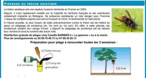 Distribution gratuite de pièges à frelons asiatiques - Commune de Guiclan