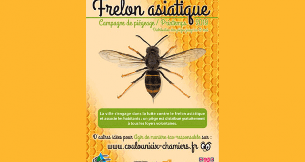 Distribution gratuite de pièges à frelons asiatiques - Coulounieix-Chamiers