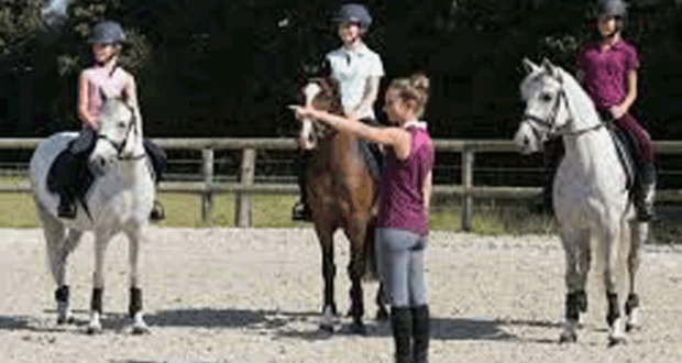 Initiation gratuite à l'équitation pour tous - Macon