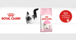 ROYAL CANIN® Kitten aliments pour chatons de 4 à 12 mois