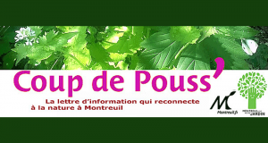 Distribution gratuite de Plantes issus des Massifs Floraux et de Bulbes