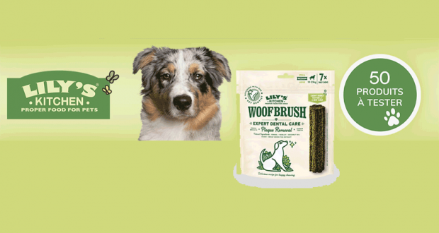 Friandises pour Chiens Woofbrush Lily’s Kitchen