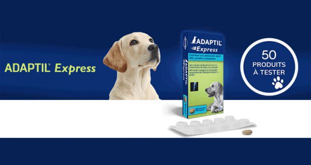 Comprimés pour Chiens Adaptil Express