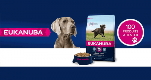 Croquettes Eukanuba Chien Adulte Grande Race