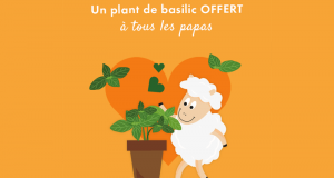 Distribution Gratuite de Plants de Basilic Bio