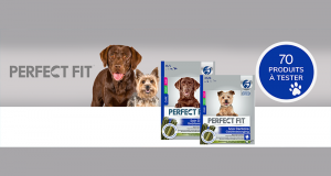 70 Soins Dentaires pour chiens PERFECT FIT à tester