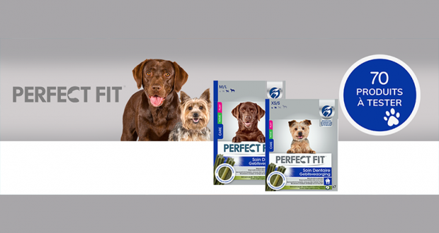 70 Soins Dentaires pour chiens PERFECT FIT à tester