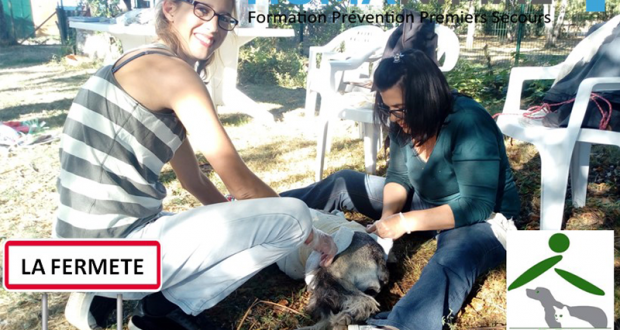 Formation aux Premiers Secours pour Chien et Chat