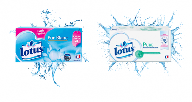 100 boites de Mouchoirs Lotus Pur Blanc ou Lotus Pure à tester