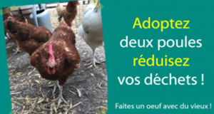 2 poules à réduction de déchets offertes