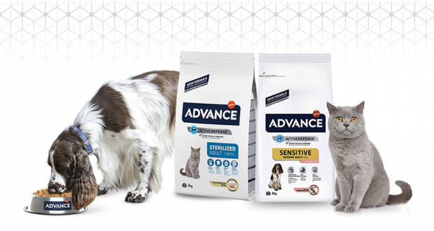 8000 packs d’aliments pour chat ou chien offerts