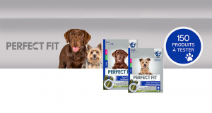 Bâtonnets PERFECT FIT Soin Dentaire pour chiens à tester