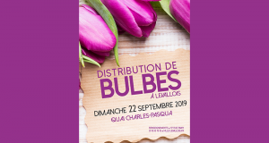 Distribution gratuite de Bulbes - Levallois-Perret