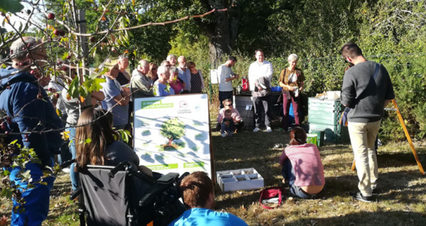 Distributions Gratuites de Composteurs - Golfe du Morbihan Vannes Agglomération