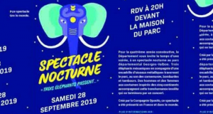 Entrée gratuite au spectacle nocturne du parc Georges & Concert