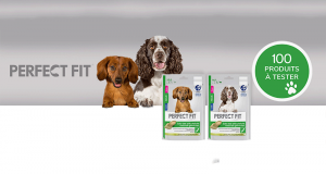 Soin des Articulations pour Chiens Perfect Fit à tester