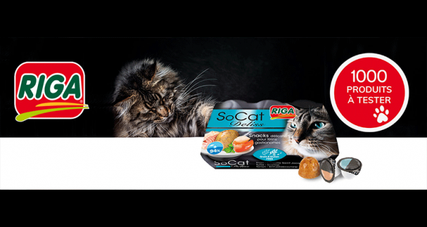 1000 paquets de Friandises SoCat Deliss pour chats à tester