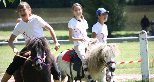 Balade à Poney Gratuite & Dégustation de Cafés & Jus de Pommes