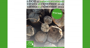 Distribution Gratuite de Bois